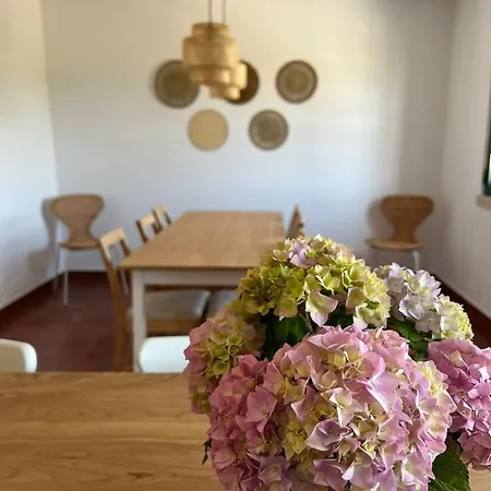 Coast - Da Areia Branca Daire Praia da Lourinhã